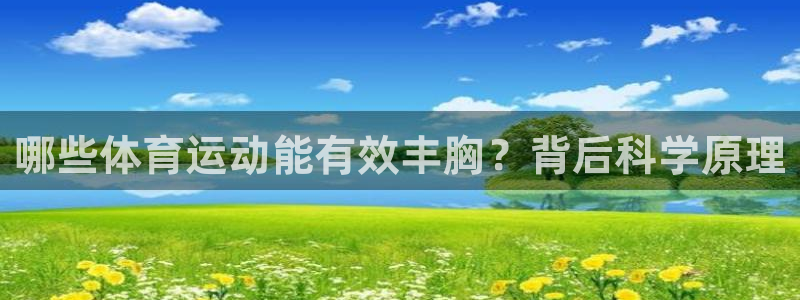 风速体育官网