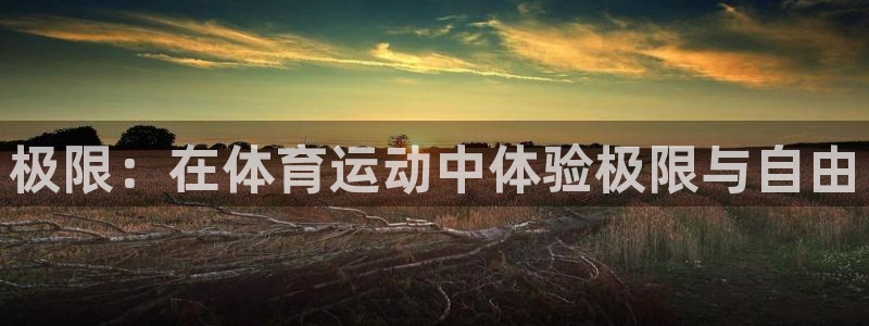 风速体育app官方下载