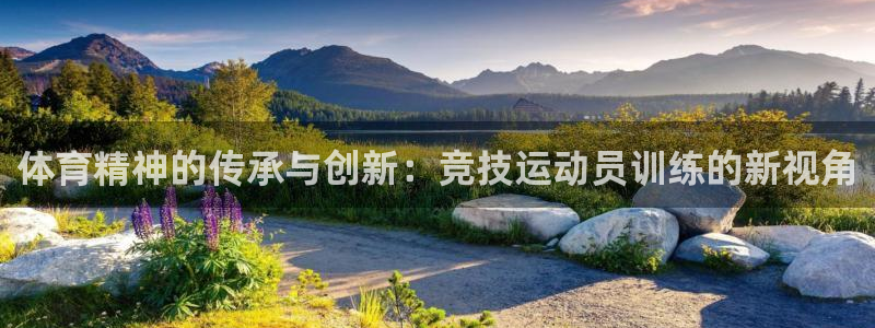 风速体育app官方下载