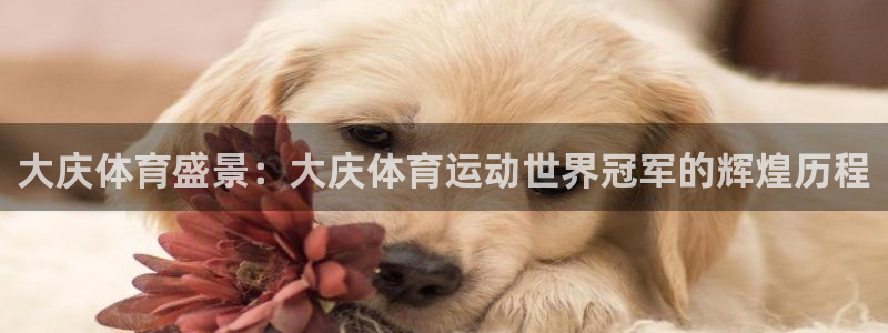 风速体育app官方下载