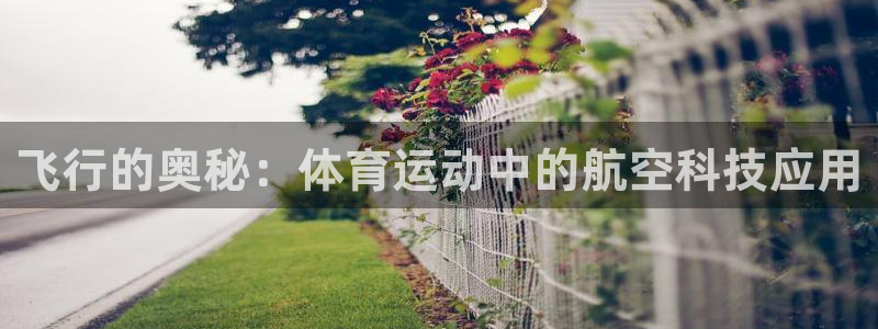 风速体育nba免费直播