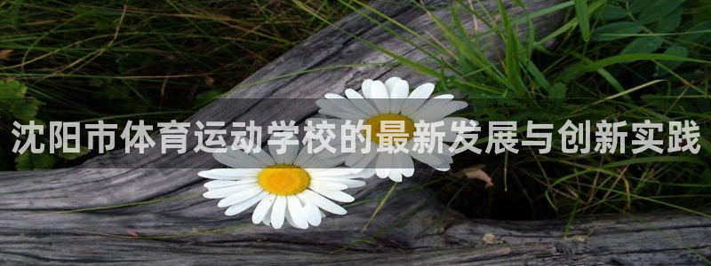 风速体育官网：沈阳市体育运动学校的最新发展与创新实践