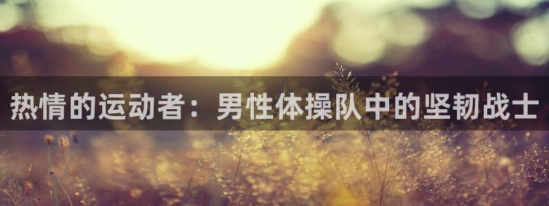 风速体育直播：热情的运动者：男性体操队中的坚韧战士