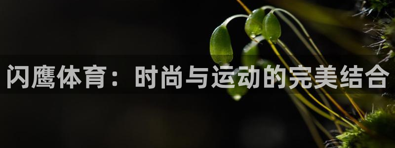 下载风速体育：闪鹰体育：时尚与运动的完美结合