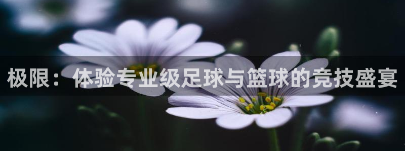 风速体育下载
