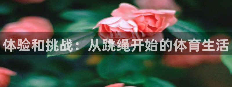 风速体育nba直播