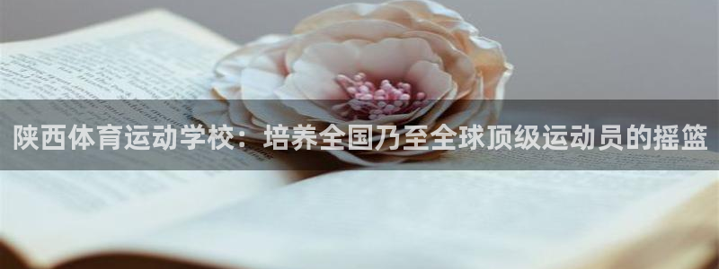 风速体育app