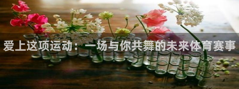 风速体育