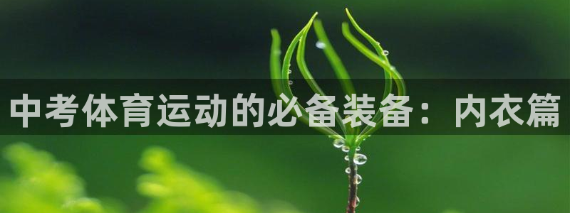 下载风速体育