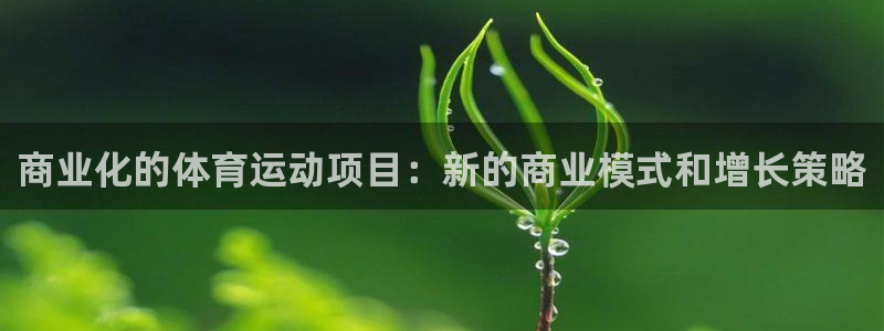 风速体育
