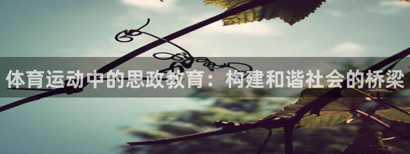 风速体育直播