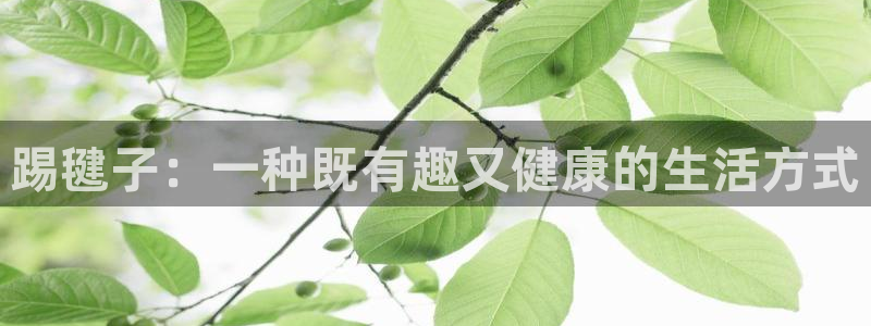 风速体育下载