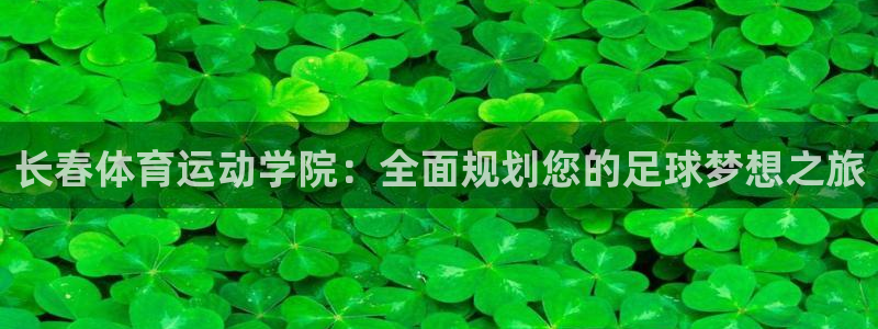 风速体育app官方下载