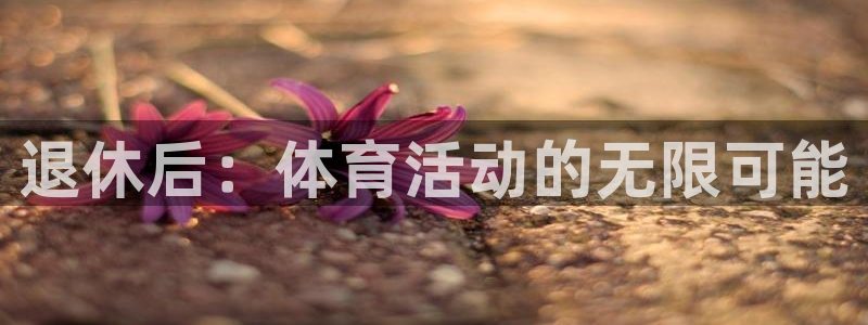 风速体育cba直播