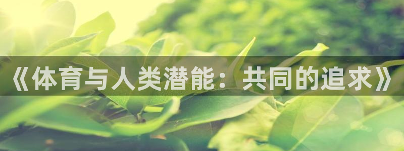 风速体育下载：《体育与人类潜能：共同的追求》