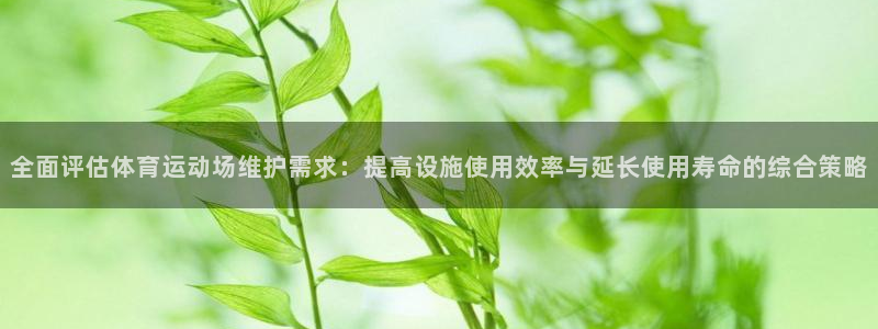 风速体育直播：全面评估体育运动场维护需求：提高设施使用效率与延长使用寿命的综合策略